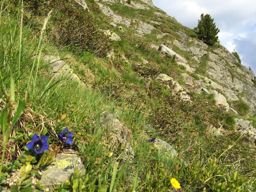 Das Alpbach Juwel Extérieur photo