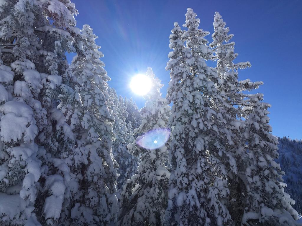 Das Alpbach Juwel Extérieur photo
