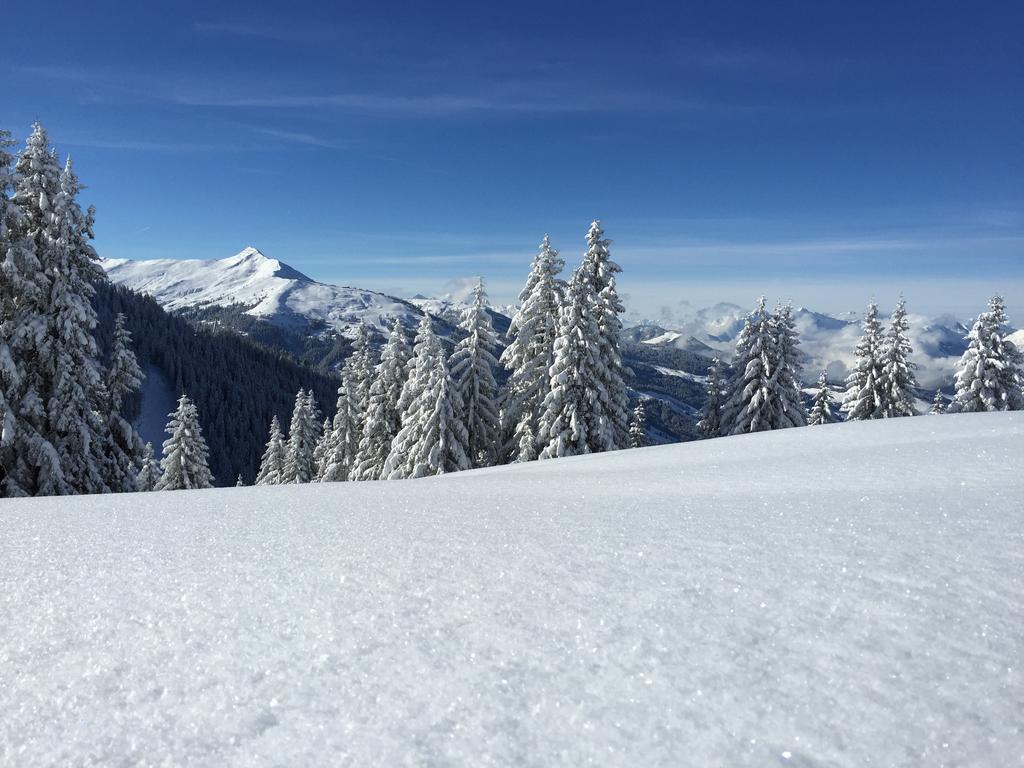 Das Alpbach Juwel Extérieur photo